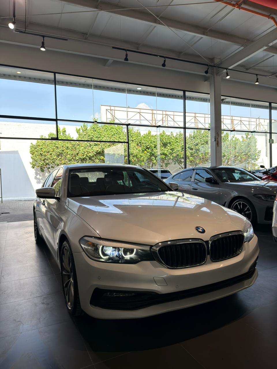 BMW 530e Híbrido Conectable 2019